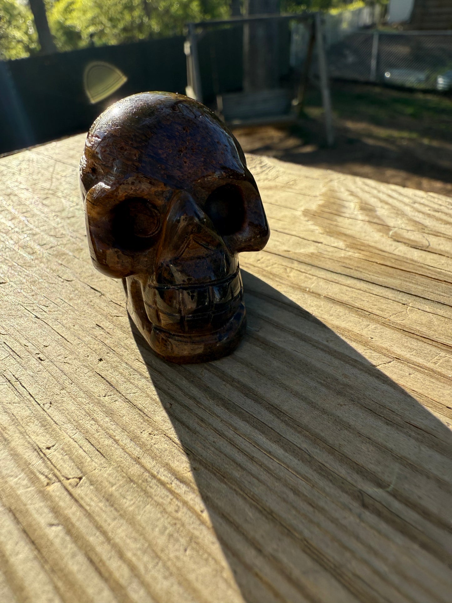 Tiger eye skull