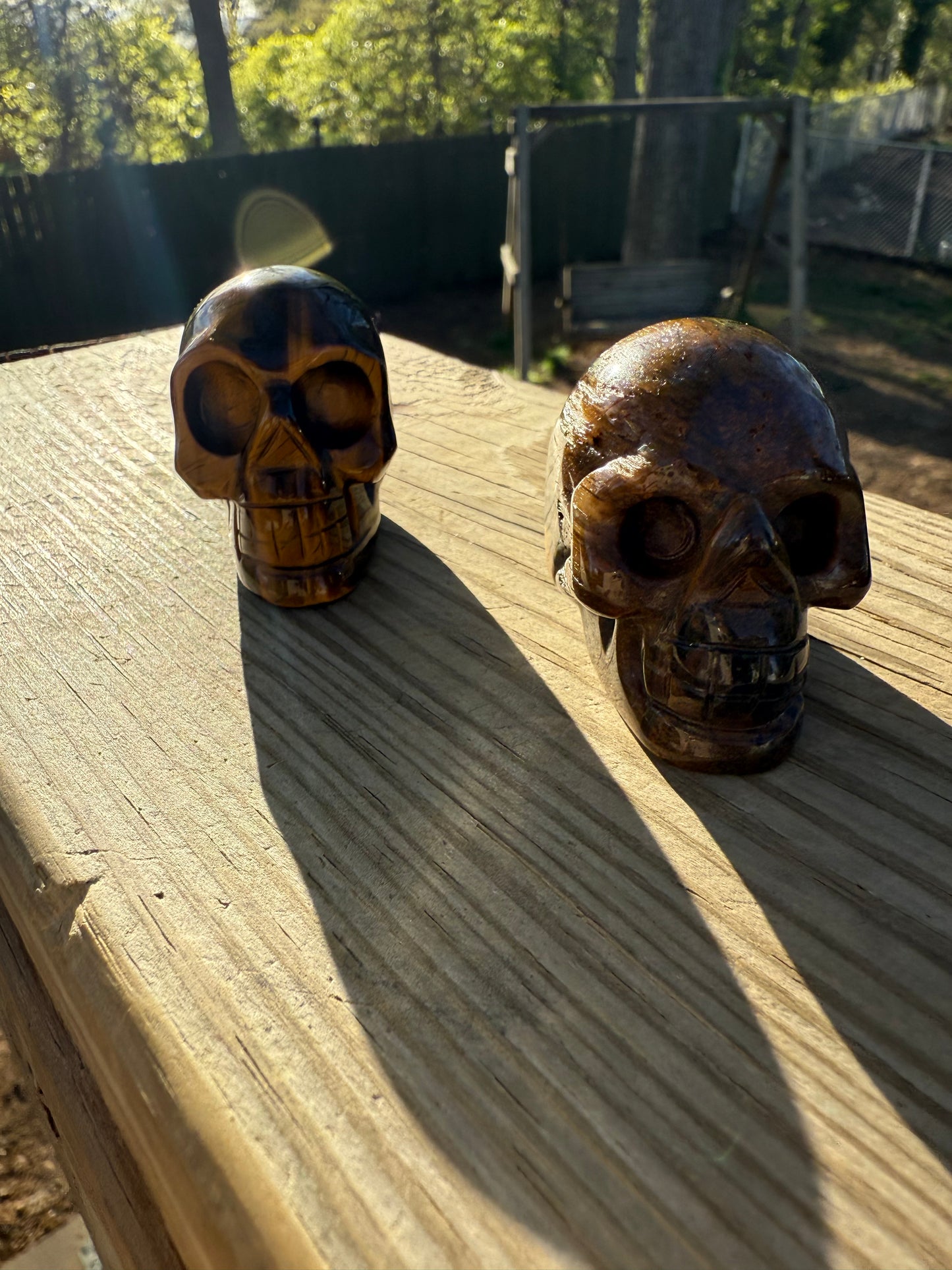 Tiger eye skull