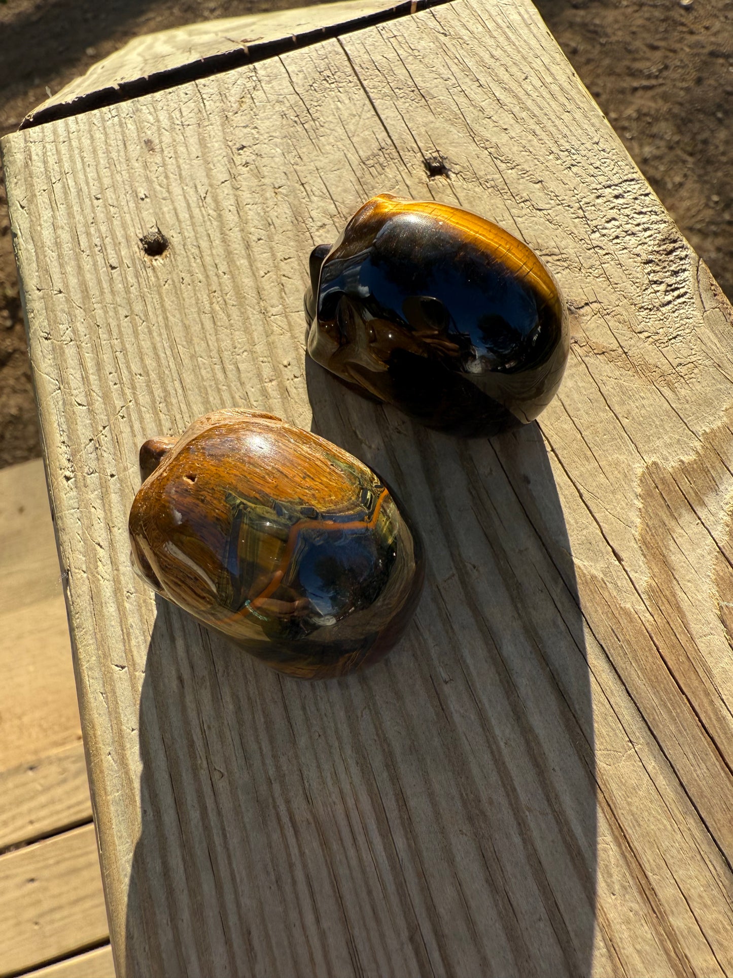 Tiger eye skull