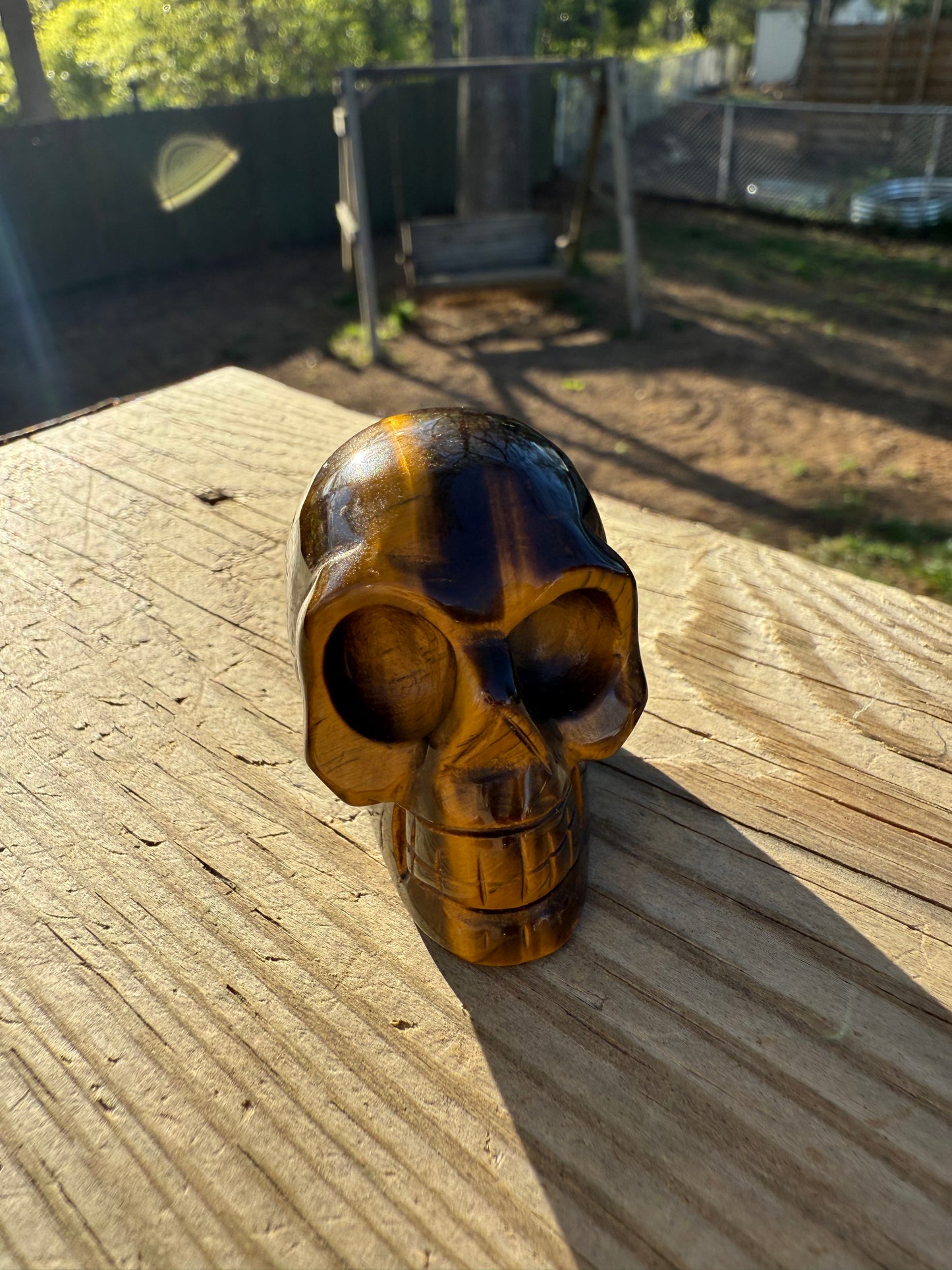 Tiger eye skull