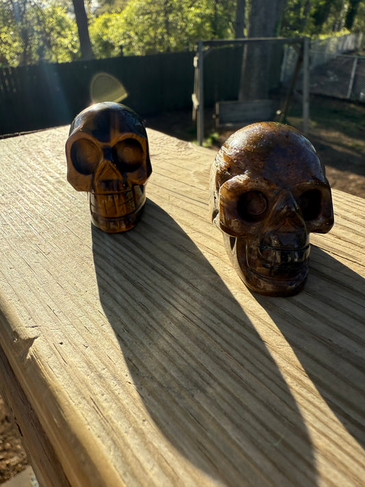 Tiger eye skull